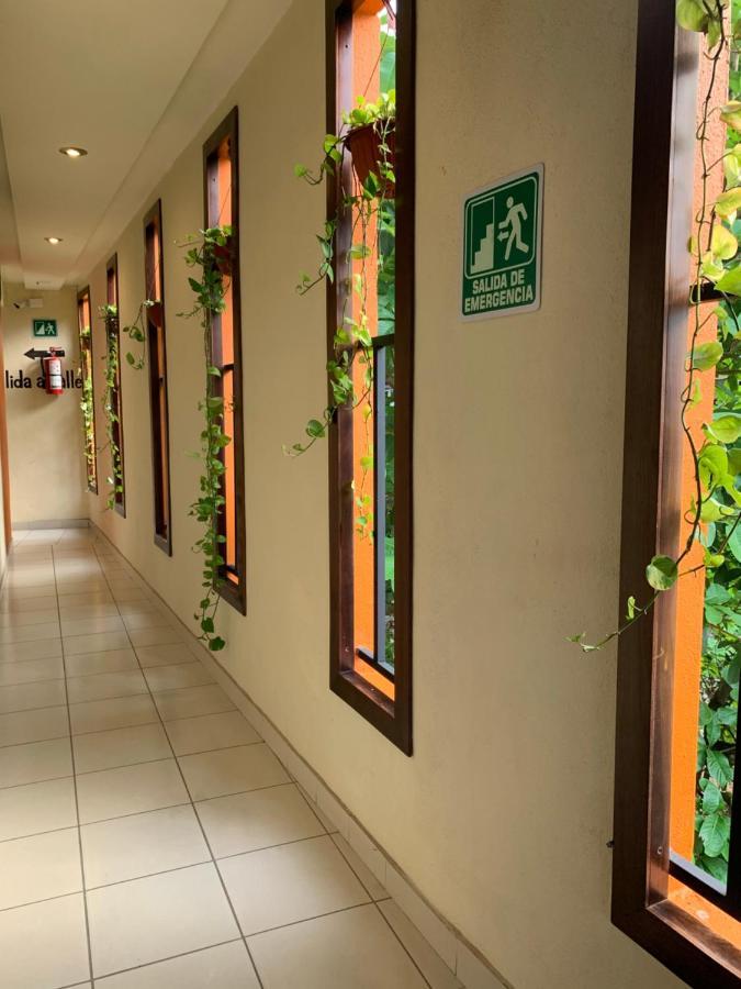 Hotel Cafenaranja Xilitla Zewnętrze zdjęcie